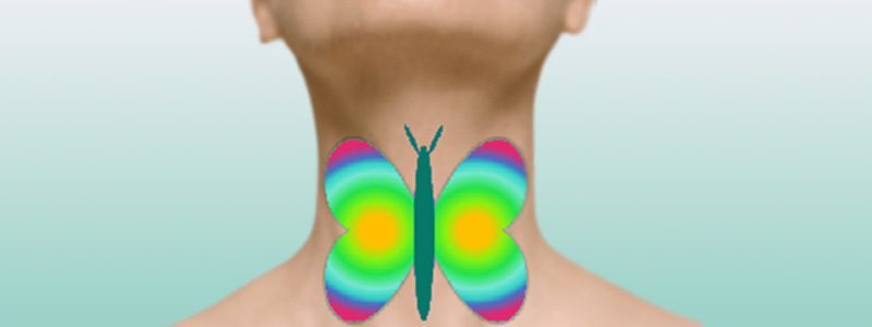 Fürther Klinikgespräche 12.11.2025 Fürther Klinikgespräche Schilddrüse